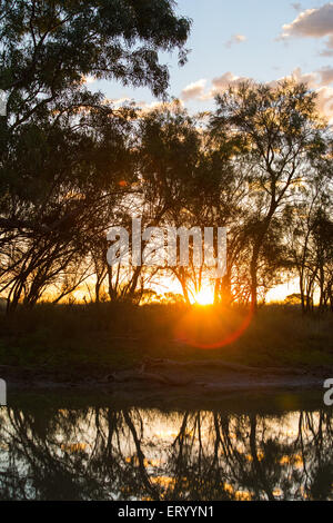 Sonnenuntergang Reflexionen von Bäumen gesäumten Bach im australischen Outback, in der Nähe von Longreach, Queensland. Stockfoto