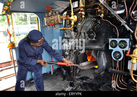 Dampfeisenbahn , Darjeeling Himalayan Railway , DHR , Spielzeug Zug , New Jalpaiguri , Darjeeling , West Bengalen , Indien , Asien Stockfoto