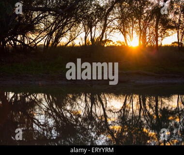 Sonnenuntergang Reflexionen von Bäumen gesäumten Bach im australischen Outback, in der Nähe von Longreach, Queensland. Stockfoto