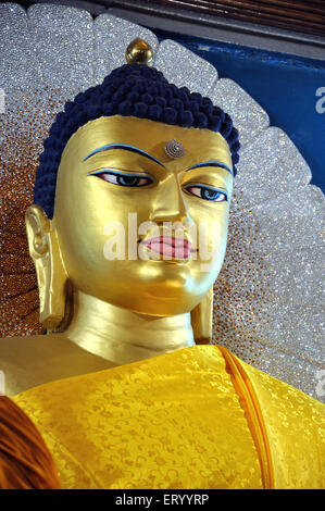 Buddha Idol, Bodhgaya Tempel; Bodh Gaya, Bihar; Indien, asien Stockfoto