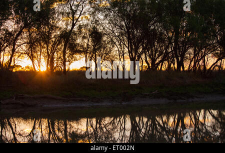 Sonnenuntergang Reflexionen von Bäumen gesäumten Bach im australischen Outback, in der Nähe von Longreach, Queensland. Stockfoto