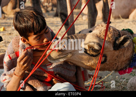 Pushkar Fair, Pushkar Mela, Pushkar Camel Fair, Kartik Mela, Pushkar ka Mela, Pushkar, Ajmer, Rajasthan, Indien, Asien Stockfoto