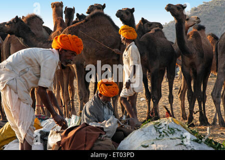 Pushkar Mela; Rajasthan; Indien Stockfoto