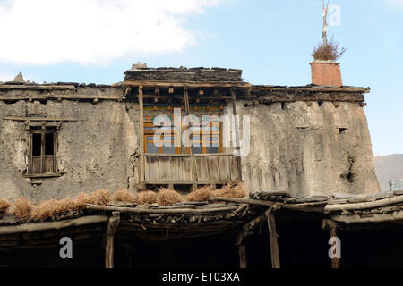 Althausbalkon, Jharkot, Mustang, Dhaulagiri, Muktinath, Nepal, Föderale Demokratische Republik Nepal, Südasien, Asien Stockfoto