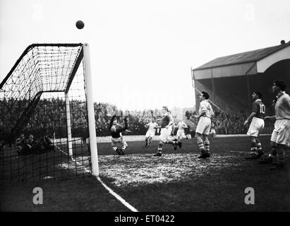 Englische League Division One Match bei The Valley. Charlton Athletic 2 V Manchester City 1. Charlton Torhüter Sam Bartram darstellende Akrobatik der besuchenden Seite Angriff in Schach zu halten. 5. Dezember 1953. Stockfoto