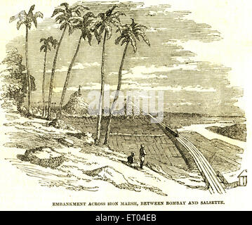 Böschung in Sion Sumpf zwischen Bombay und Salsette jetzt neu Mumbai; 4. Juni 1853; Maharashtra; Indien Stockfoto