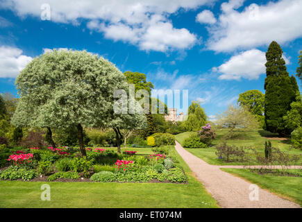 Einem schönen Frühlingstag im Cholmondeley Castle Gardens in Cheshire, England. Stockfoto