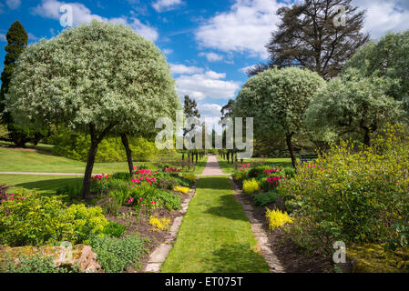 Cholmondeley Castle Gardens, Cheshire, England an einem sonnigen Frühlingstag. Stockfoto