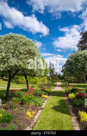 Cholmondeley Castle Gardens, Cheshire, England an einem sonnigen Frühlingstag. Stockfoto