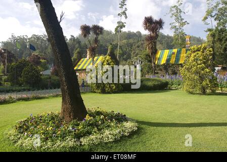 Regierung Botanischer Garten, Ooty, Udhagamandalam, Hill Station, Nilgiris, Western Ghats, Tamil Nadu, Indien, Asien Stockfoto