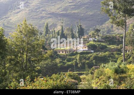 Szene auf Weg zum Masinagudi von Ooty Nilgiris Tamil Nadu, Indien Stockfoto