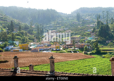 Landwirtschaftlichen Bereich in Ooty; Nilgiris; Tamil Nadu; Indien Stockfoto