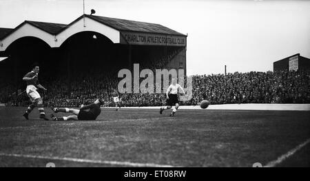 Englische League Division One Match bei The Valley. Charlton Athletic 5 V Sunderland 3.  Fünf Südafrikaner sind die Bank of England-Team in der Charlton-Seite für die 5-3 Tal mauling Sunderland Team synchronisiert, nach Kalkulation Â £150.000 Transfer Gebühren. Eddie Firmani, einer der Sterne-Funde von Jimmy Seed Kapstadt Schleppnetze, abgebildet ist das erste seiner zwei Tore erzielte. Mitbürgerinnen Springböcke Stuart Leary, Cyril Hammond und Frank Lock Â €"den Strafstoß nach Leary war, nach unten â gebracht worden €" wurden auch am Ziel. 19. August 1953. Stockfoto