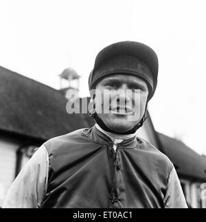 Jockey Terry Biddlecombe bei Warwick Rennen vor dem zweiten Rennen. 12. Februar 1965. Stockfoto