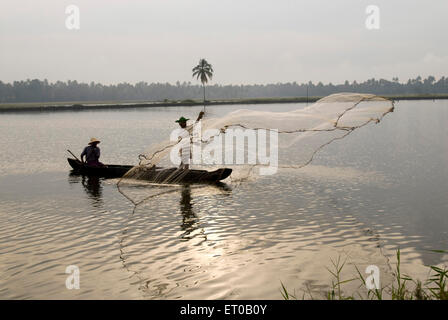 Angeln auf den Backwaters von Cherai; Kerala; Indien Stockfoto