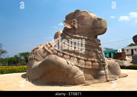 Größte monolithische Nandi-Skulptur in Lepakshi; Andhra Pradesh; Indien Stockfoto