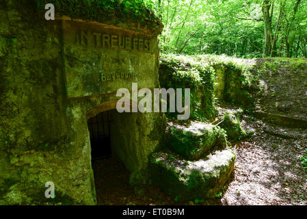 Ursprünglichen deutschen Gräben und Unterstände aus dem ersten Weltkrieg im St. Mihiel Salient, Frankreich Stockfoto