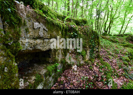 Ursprünglichen deutschen Gräben und Unterstände aus dem ersten Weltkrieg im St. Mihiel Salient, Frankreich Stockfoto