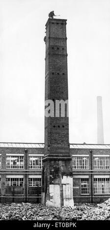 Seine weit auf den Boden als Arbeitsbeleuchtung beginnen, den 133 Jahre alten Schornstein bei J & J Cash Ltd in Kingfield Straße, Coventry, West Midlands zu zerstören.  Die Website des Schornsteins 90ft werden ein Parkplatz in der Kanzlei ㄳ1.5 million Modernisierung Schema umfasst die Öl-Kessel für Gas zu ersetzen. Da gibt es Gebäude alle um ihn herum ist unmöglich, den Schornstein in die Luft sprengen. 22. Mai 1980. Stockfoto