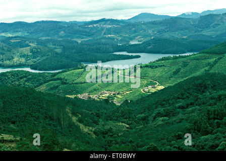 Emerald Lake, Ooty, Hill Station, Ootacamund, Udagamandalam, Udhagamandalam, Nilgiri Hügel, Silent Valley, Western Ghat, Tamil Nadu, Indien, Asien Stockfoto