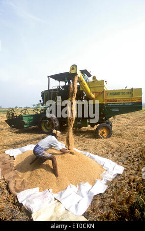 Reis Erntemaschine in den Feldern, Neyveli; Cuddalore Bezirk, Tamil Nadu; Indien, asien Stockfoto