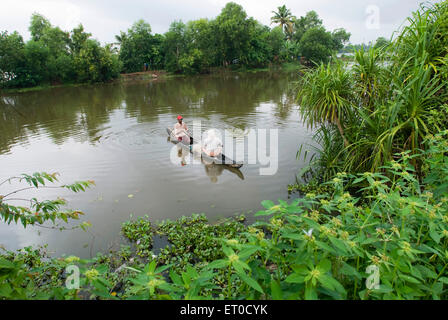 Angeln in Backwaters , Changanacherry , Changanassery , Kottayam , Alleppey , Alappuzha , Kerala , Indien , Asien Stockfoto