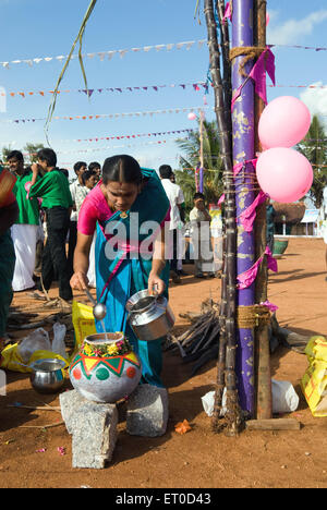 Pongal; Kinathukkadavu in der Nähe von Coimbatore; Tamil Nadu; Indien Stockfoto