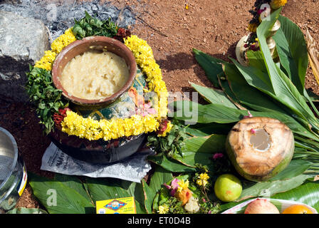 Pongal; Kinathukkadavu in der Nähe von Coimbatore; Tamil Nadu; Indien Stockfoto