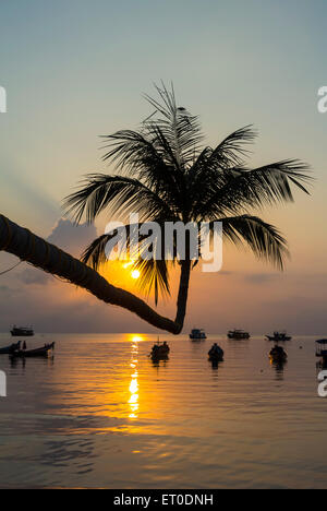 Silhouette von Palm Tree auf einem ruhigen Strand, Ko Tao, Thailand Stockfoto