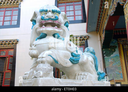 Steinlöwe, Namdroling Kloster, Goldener Tempel, Namdroling Nyingmapa Kloster, Kushalnagar, Bylakuppe, Coorg, Karnataka, Indien, Asien Stockfoto