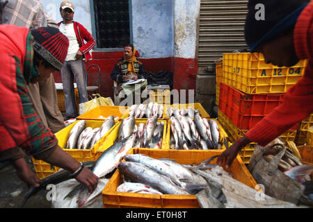 Fischmarkt, Ranchi, Jharkhand, Indien, Indianerleben Stockfoto