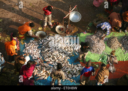 Fischmarkt in Ranchi Stadt Hauptstadt von Jharkhand Indien Stockfoto