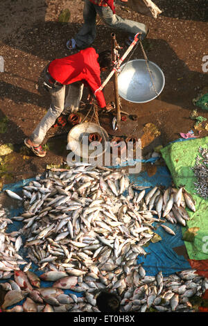 Fischmarkt, Ranchi, Jharkhand, Indien, Indianerleben Stockfoto