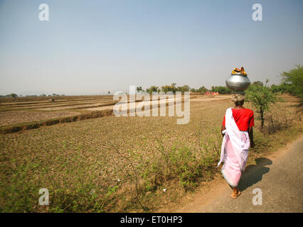 Frau mit Wassertopf auf dem Kopf, Ranchi, Jharkhand, Indien, Indianerleben Stockfoto