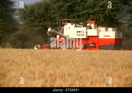 Kombinieren Sie Erntemaschine kann gesehen werden, nähert sich Felder für Goldene Ernte des Weizens in Bhopal; Madhya Pradesh; Indien Stockfoto