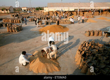 Arbeitnehmer befüllen Säcke mit Getreide Markt an Harsud Mandi in der Nähe von Khandwa Bhopal Madhya Pradesh, Indien Stockfoto