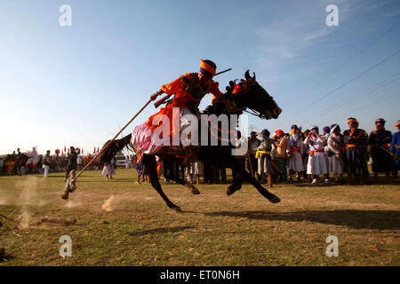 Nihang oder Sikh Krieger mit Speer tun Zelt pegging Reiten auf Pferd Hola Mohalla Festival Anandpur Sahib Punjab, Indien Stockfoto