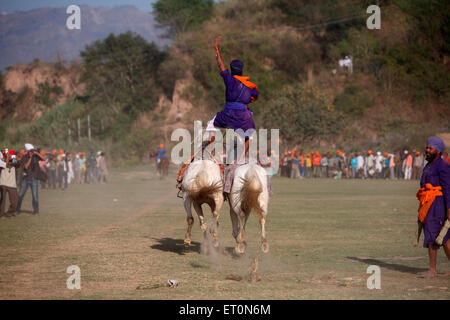 Nihang- oder Sikh-Krieger reiten auf zwei Pferden gleichzeitig während der Hola Mohalla-Feier auf Anandpur Sahib in Rupnagar Punjab Indien-Festivals Stockfoto