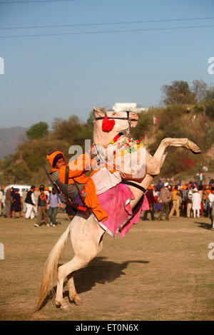 Nihang oder Sikh Krieger mit Gewehr auf Pferd während Hola Mohalla Feier bei Anandpur Sahib in Rupnagar Stockfoto