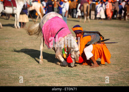 Nihang oder Sikh Krieger mit Gewehr und Pferd während der Hola Mohalla Feier bei Anandpur Sahib in Rupnagar Stockfoto