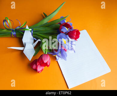 Tulpen und Iris liegen auf einem orangefarbenen Hintergrund Stockfoto