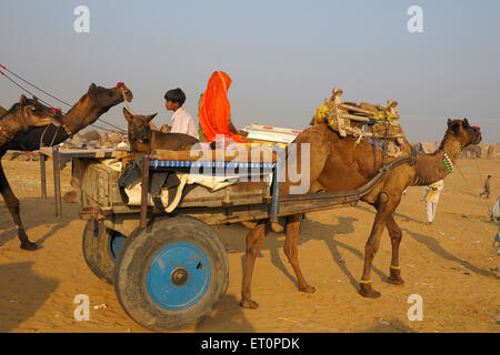Rajasthani Familie gehen auf Kamel Wagen mit ihrem Gepäck in Pushkar fair; Rajasthan; Indien Stockfoto