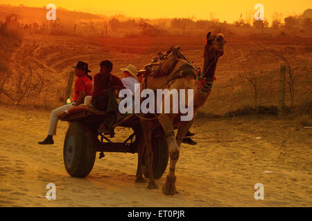 Reisende in Kamel Wagen bei Sonnenuntergang für Pushkar fair; Rajasthan; Indien Stockfoto