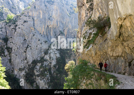 Wanderer in den sorgen Schlucht Picos De Europa Cordillera Kantabrien Spanien Stockfoto