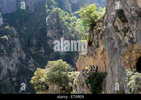 Wanderer in den sorgen Schlucht Picos De Europa Cordillera Kantabrien Spanien Stockfoto