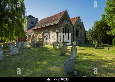 Feder am Nachmittag an der St. Maria Kirche in ringmer, East Sussex, England. Stockfoto