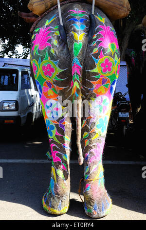 Bemalter Elefant, Elefantendekoration, Elefantendekoration, Elefantenparade, Elefantenfestival. Jaipur, Rajasthan, Indien, indische Festivals Stockfoto