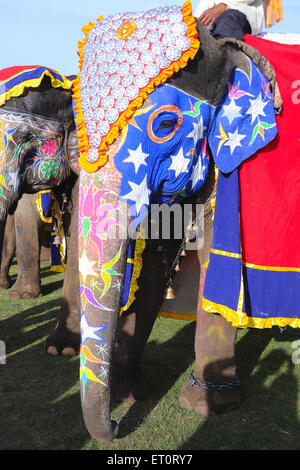 Bemalter Elefant, Elefantendekoration, Elefantendekoration, Elefantenparade, Elefantenfestival. Jaipur, Rajasthan, Indien, indische Festivals Stockfoto