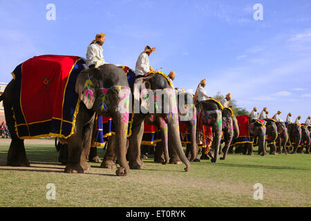 Bemalter Elefant, Elefantendekoration, Elefantendekoration, Elefantenparade, Elefantenfestival. Jaipur, Rajasthan, Indien, indische Festivals Stockfoto