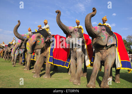 Mahouts auf Elefanten, Jaipur, Rajasthan, Indien Stockfoto